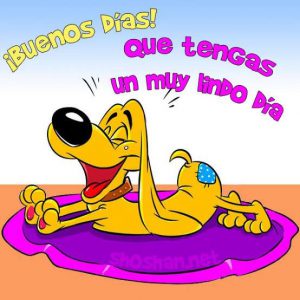 Mensajes Bonitos De Amor De Buenos Dias Para Descargar