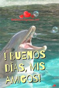 Mensajes Bonitos De Amor De Buenos Dias Para Facebook