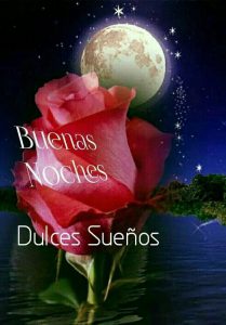 Mensajes Bonitos De Buenas Noches Para Enamorar Para Facebook