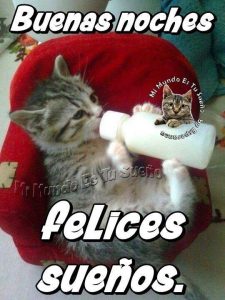 Mensajes Bonitos De Buenas Noches Para Facebook