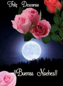 Mensajes Bonitos De Buenas Noches Para Mi Novio Para Descargar Gratis