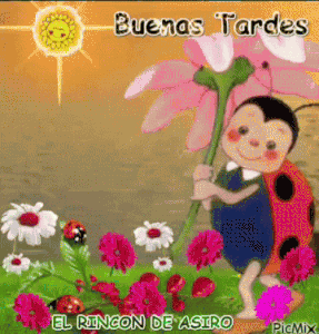 Mensajes bonitos de buenas tardes para celular gif animadas