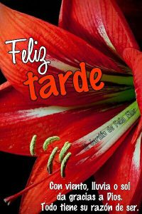 Mensajes Bonitos De Buenas Tardes Para Whatsapp Celular