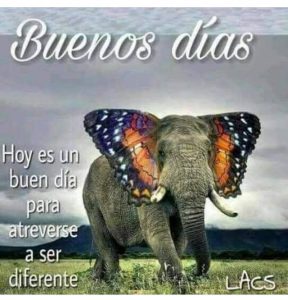 Mensajes Bonitos De Buenos Dias Amor Para Facebook