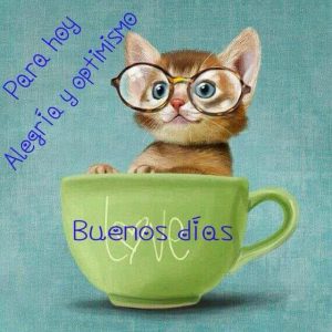 Mensajes bonitos de buenos días para mi amor para descargar