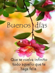 Mensajes Bonitos De Buenos Dias Para Mi Amor Para Una Amiga