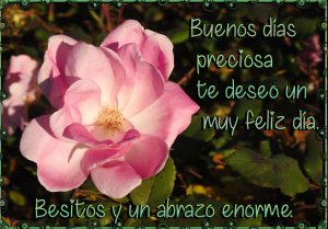 Mensajes Bonitos De Buenos Dias Para Mi Novio Para Mi Amor