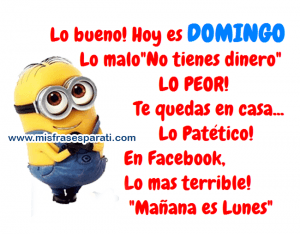 Mensajes Bonitos De Feliz Domingo Para Celular