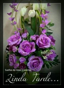 Mensajes Bonitos De Feliz Tarde Para Whatsapp Celular