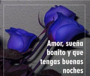 Mensajes Bonitos Para Buenas Noches Para Whatsapp