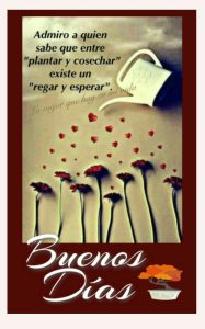 Mensajes Bonitos Para Dar Los Buenos Dias A Mi Amor Para Descargar