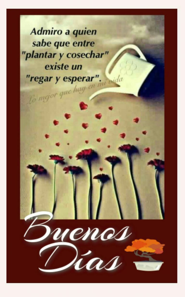 Mensajes Bonitos Para Dar Los Buenos Dias A Mi Amor Para Descargar