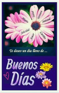 Mensajes Bonitos Para Dar Los Buenos Dias A Mi Amor Para Facebook