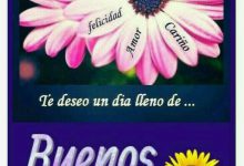 Photo of Mensajes Bonitos Para Dar Los Buenos Dias A Mi Amor Para Facebook
