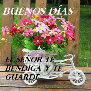 Mensajes Bonitos Para Dar Los Buenos Dias A Mi Amor Para Mi Amor