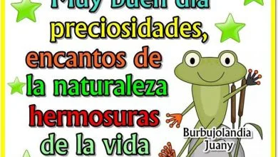 Photo of Mensajes Bonitos Para Dar Los Buenos Dias Para Celular