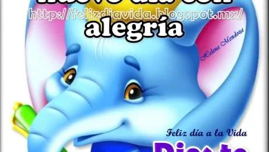 Photo of Mensajes Bonitos Para Dar Los Buenos Dias Para Whatsapp