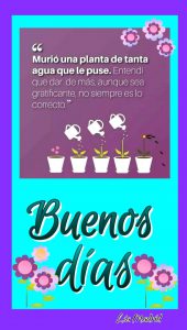 Mensajes Bonitos Para Enamorar De Buenos Dias Para Descargar