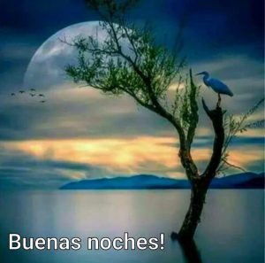 Mensajes Bonitos Para Mi Novia De Buenas Noches