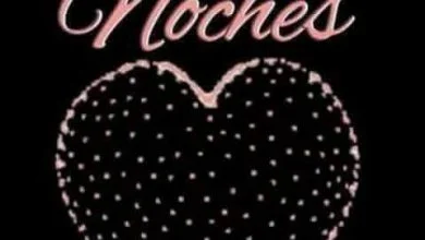 Photo of Mensajes Buenas Noches Para Celular