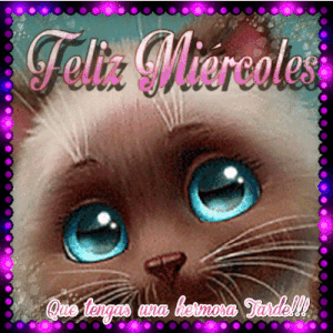 Mensajes buenas tardes amor gif animadas