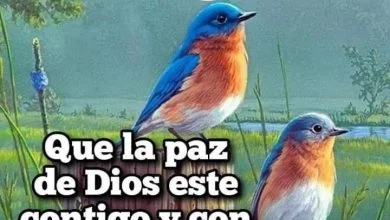 Photo of Mensajes Buenos Dias Para Conquistar Para Una Amiga