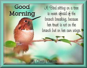 Mensajes Buenos Dias Para Enamorar Para Una Amiga