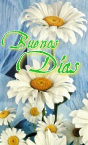 Mensajes Buenos Dias Para Mi Novia Para Facebook