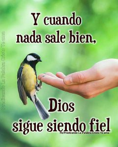 Mensajes Buenos Dias Para Mi Novia Para Una Amiga