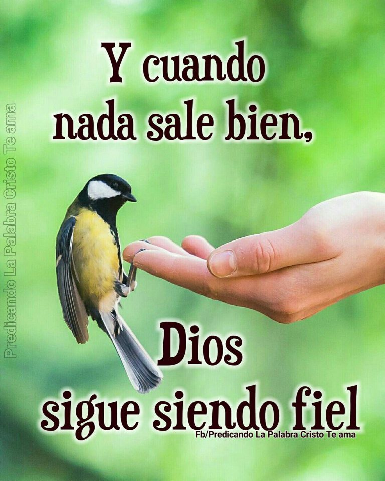 Mensajes Buenos Dias Para Mi Novia Para Una Amiga