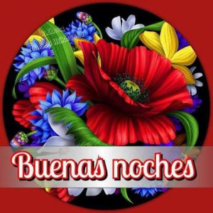 Mensajes Cortos De Buenas Noches Para Enamorar