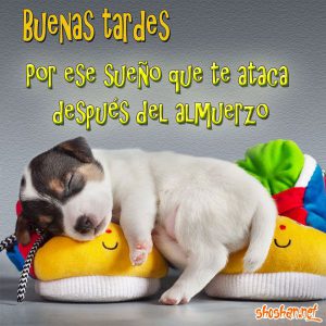 Mensajes cristianos de buenas tardes para WhatsApp celular