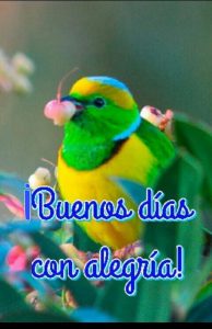 Mensajes D Amor D Buenos Dias Para Facebook