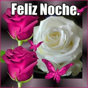 Mensajes D Buenas Noches Para Whatsapp