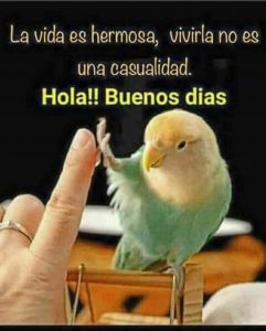 Mensajes d buenos días bonitos para WhatsApp