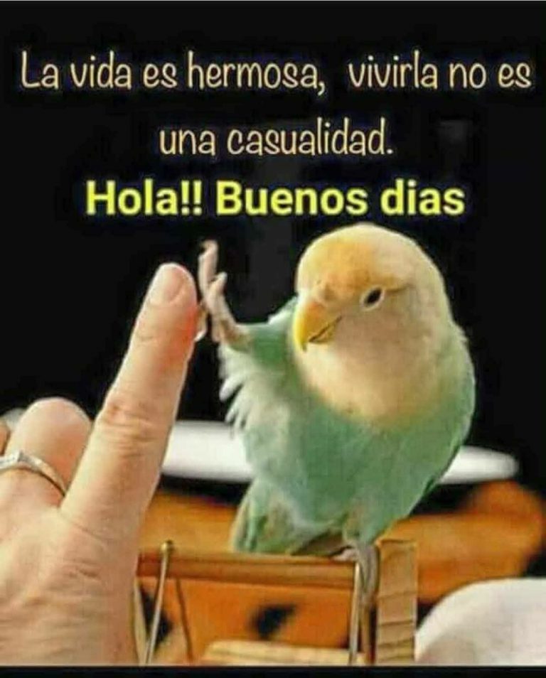 Mensajes D Buenos Dias Bonitos Para Whatsapp