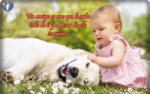 Mensajes De Buenas Noches Gratis