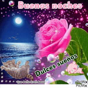 Mensajes de buenas noches hermosos
