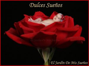 Mensajes De Buenas Noches Mi Amor Para Whatsapp