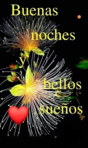 Mensajes De Buenas Noches Para Enamorar Para Celular