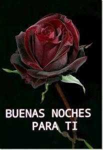 Mensajes De Buenas Noches Para Enamorar Para Facebook