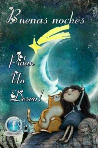 Mensajes De Buenas Noches Para Mi Amor