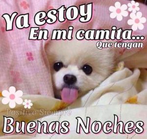 Mensajes De Buenas Noches Para Mi Mujer