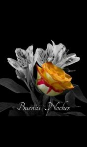 Mensajes De Buenas Noches Para Mi Novio