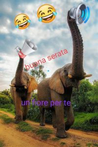 Mensajes De Buenas Noches Para Para Facebook