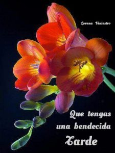 Mensajes De Buenas Tardes Amor Para Facebook Y Whatsapp