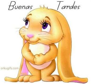 Mensajes De Buenas Tardes Cristianos Para Whatsapp Celular