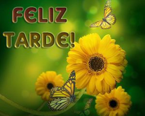 Mensajes de buenas tardes para celular para WhatsApp celular