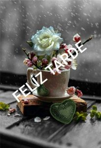 Mensajes De Buenas Tardes Para Whatsapp Celular