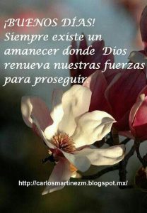 Mensajes De Buenos Dias Imagenes